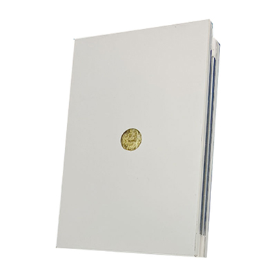Sandwich Panels